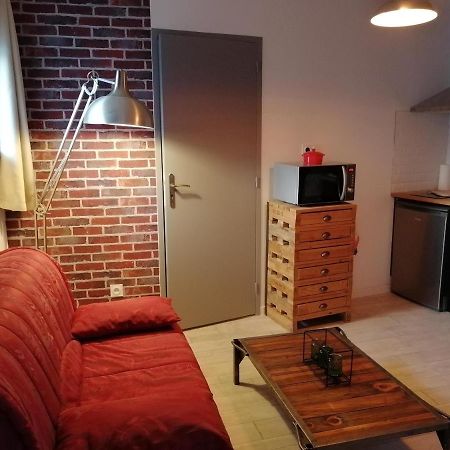 Studio "La Brique Rouge" Agen Kültér fotó